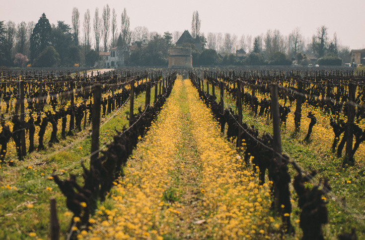 Changement de fermier pour ce grand cru classé de Barsac