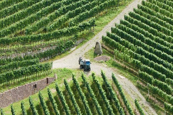 11 innovations pour les viticulteurs au Sival