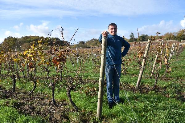  Pourquoi des vignerons Nantais passent aux vignes larges