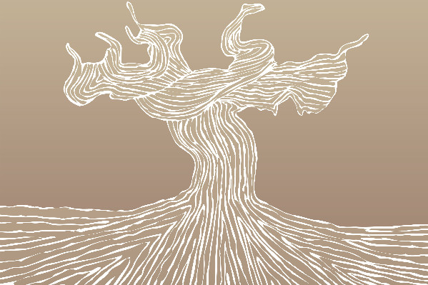 Le flux migratoire des cépages, 'sujet sensible' pour les vins AOC