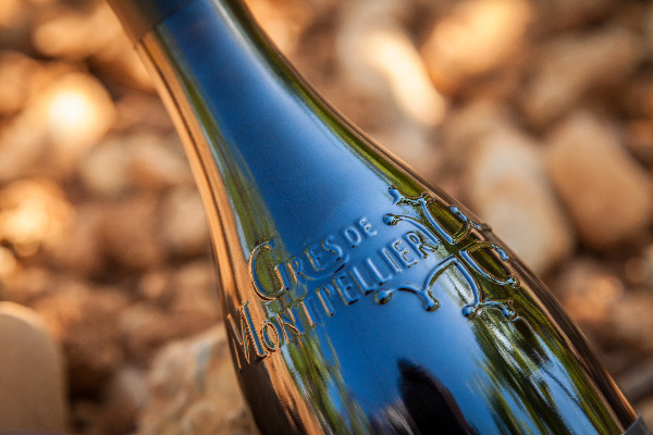 Les vins des Grés de Montpellier accèdent à l’AOC