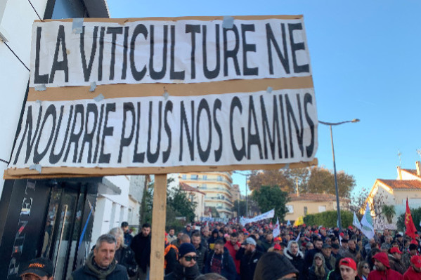 La crise viticole mérite mieux que des effets d'annonce pour 18 sénateurs