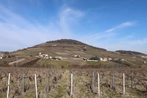 Les vins de Brouilly proposent 16 premiers crus