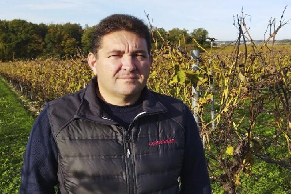  Les solutions pour lutter contre le black-rot dans les vignes sans métirame