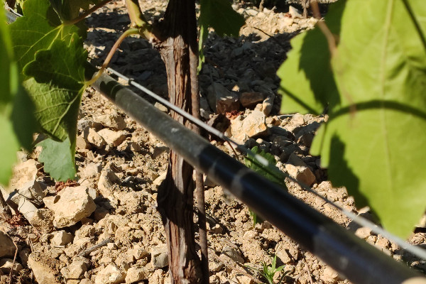 L'Etat renonce à l'augmentation de la RPD et recule sur la redevance irrigation