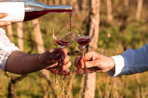 -11,4 millions hl de vins produits en Europe d’ici 12 ans faute de marchés, de phytos, d’eau…