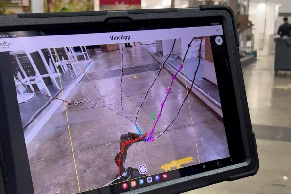 Démo et vidéo de l'IA pour tailler la vigne