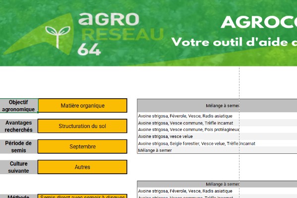 Quel mélange de couverts végétaux pour votre vignoble ?