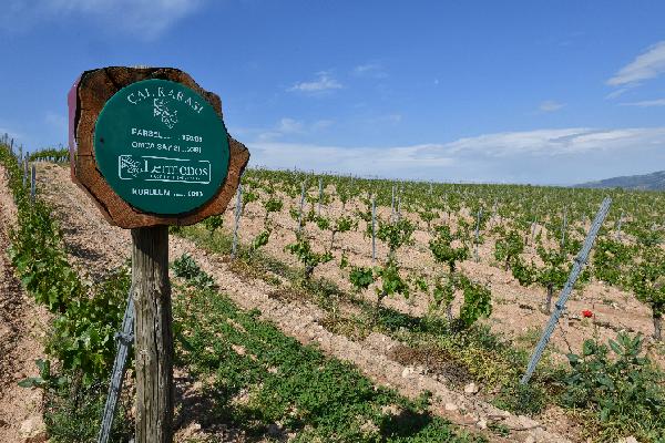 La Turquie développe son offre en vins pour les touristes