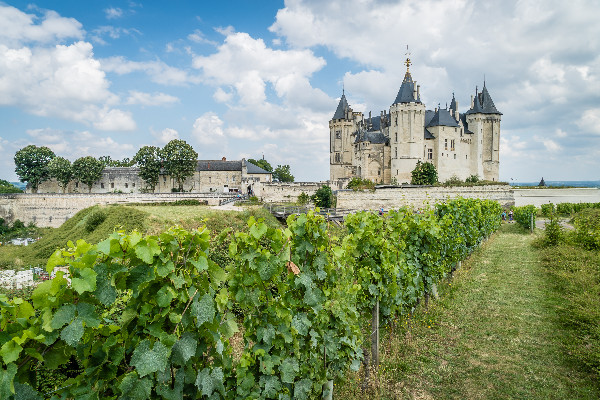 Les vins de Loire reconstituent leurs stocks