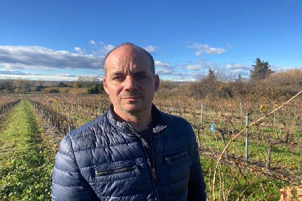 Coûts de production élevés, manque de débouchés... pourquoi des vignerons arrêtent le bio