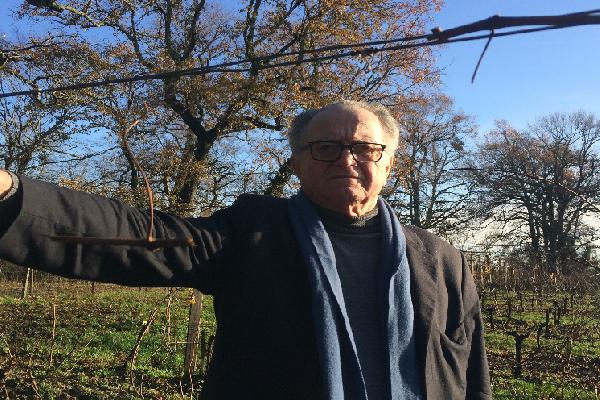 Les vignerons refroidis par l’assurance récolte