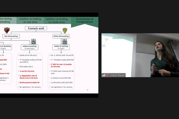 L’acide fumarique acidifie bien les moûts avant fermentation