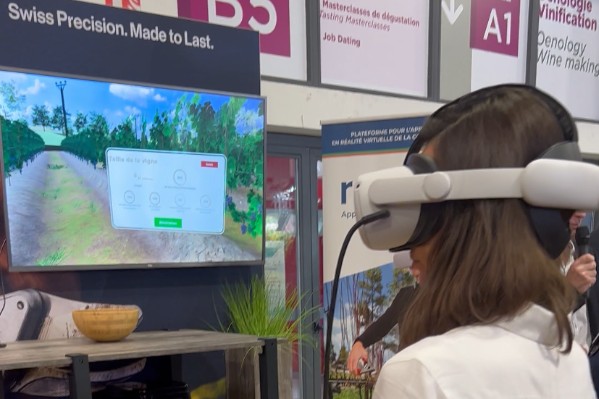 En vidéo, la réalité virtuelle pour apprendre à tailler la vigne