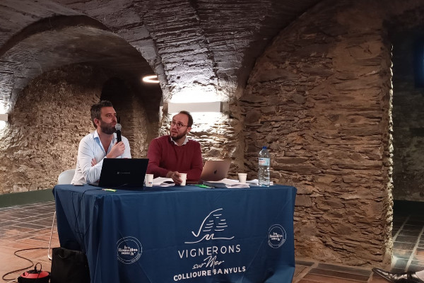 Les vins de Collioure-Banyuls s'émancipent de l'interprofession du Roussillon