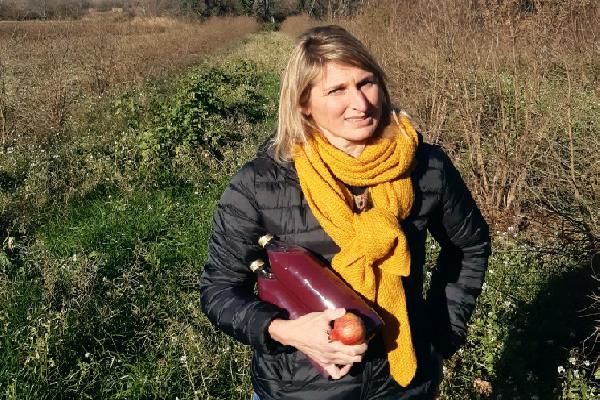 Olives, amandes, pistaches, grenades... la mévente des vins poussent les vignerons à se diversifier