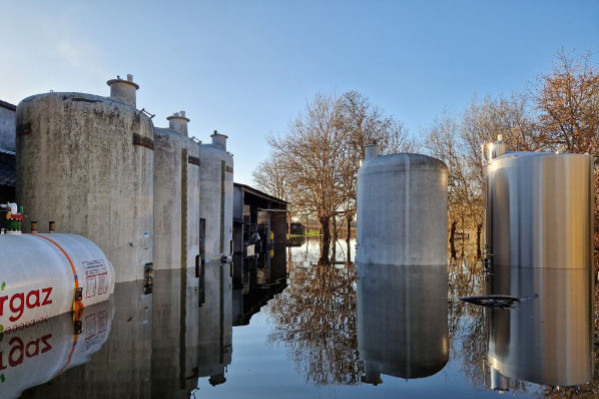 Des pépiniéristes et vignerons victimes de la Charente en crue