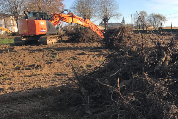 Vers un coefficient stabilisateur pour l’arrachage des vignes à Bordeaux