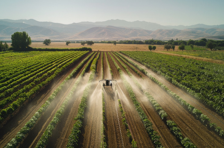 Le traitement des vignes par drone en vol stationnaire à l’Assemblée