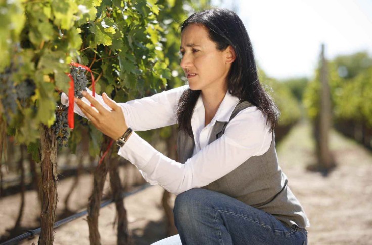 Comment la filière vin doit se défendre contre l'hygiénisme
