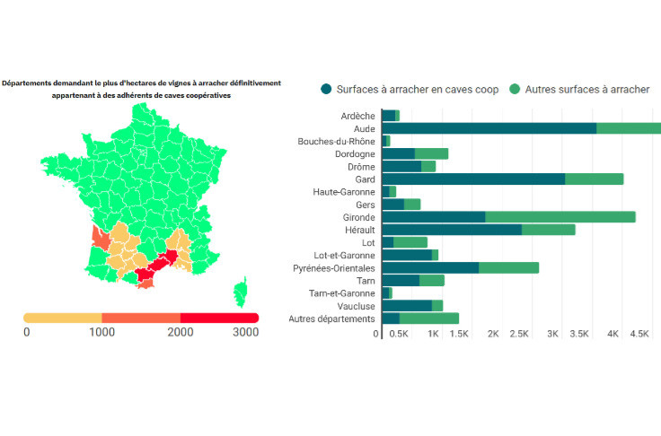 La demande d'arrachage de vignes concentrée en caves coop