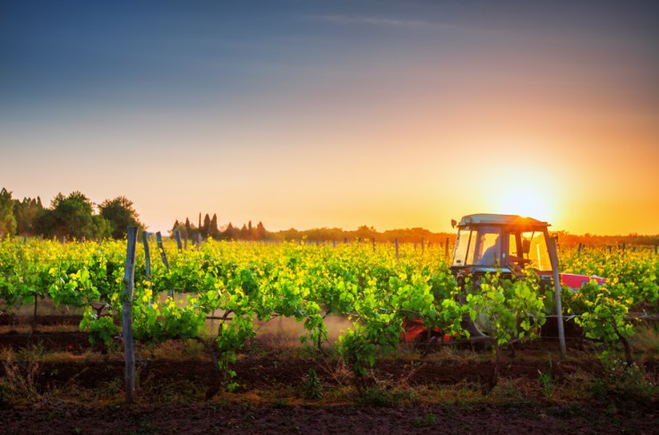 10 heures pour devenir expert des sols viticoles