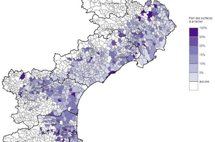 La carte de l’arrachage et du désert de vignes qui s’annonce en Languedoc-Roussillon