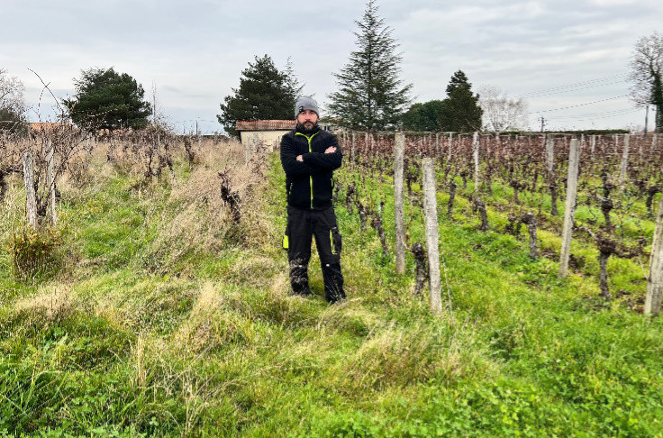 Seul face à 5 ha de vignes en friche depuis 6 ans
