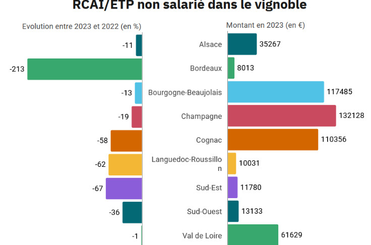 La rentabilité du vignoble s'effondre de 210 % à Bordeaux, 67 % dans le Sud-Est, 62 % en Languedoc, 60 % à Cognac…