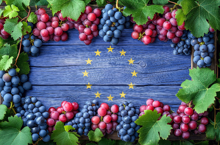 Le plan des 27 pour en finir avec la crise du vin : arrachages, moyenne olympique, soutien export…