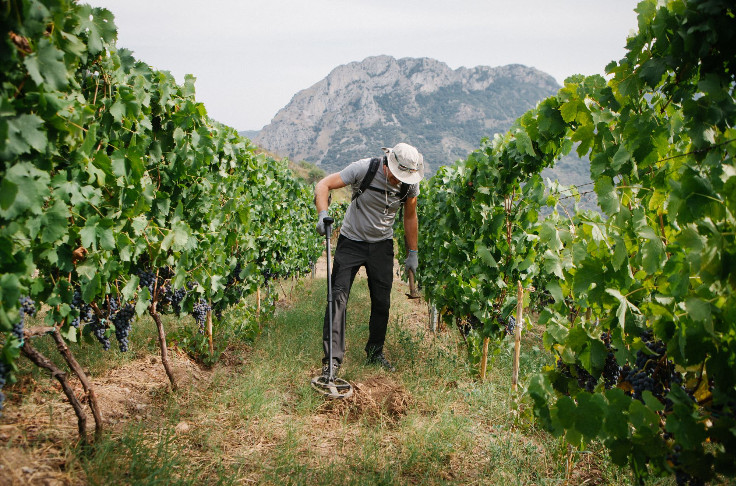 2 banques signent les courts termes aux trésoreries vigneronnes