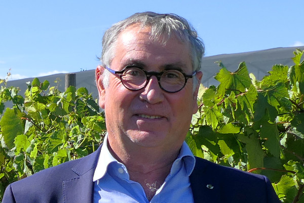 Appel au moratoire sur l’interdiction des phytos dans le vignoble