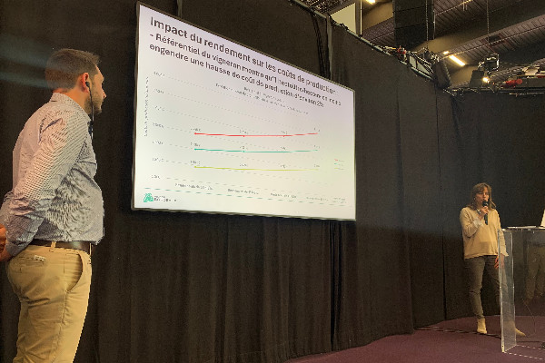 Un vin de Bordeaux à moins de 3,33 € la bouteille ruine son producteur