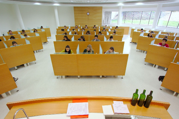 L’œnologue en garantie d'un vin naturel et non accidentel