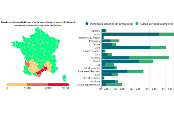 La demande d'arrachage de vignes concentrée en caves coop