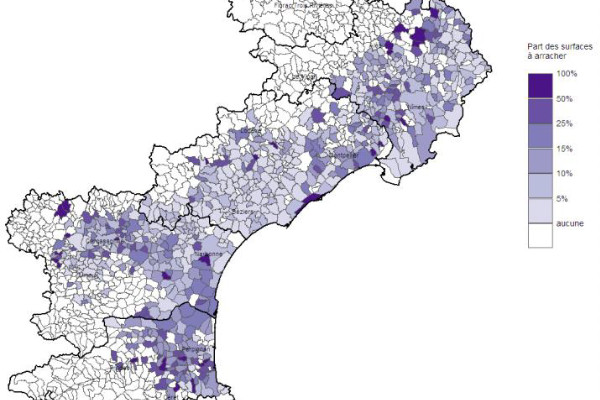 La carte de l’arrachage et du désert de vignes qui s’annonce en Languedoc-Roussillon