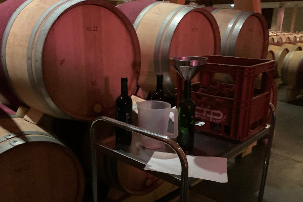 Les grands crus déjà en campagne des primeurs 2024 à haut risque