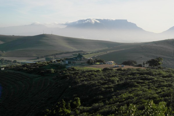 Un premier aperçu des perspectives de récolte dans l’Hémisphère sud