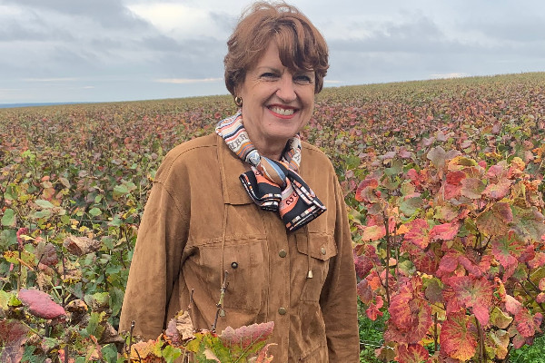 Le soutien aux trésoreries viticoles ne chute pas avec le gouvernement