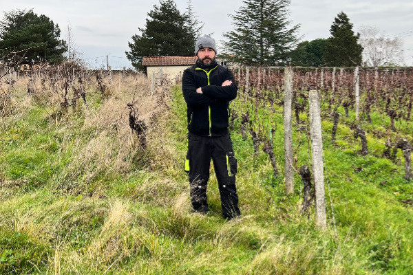 Seul face à 5 ha de vignes en friche depuis 6 ans