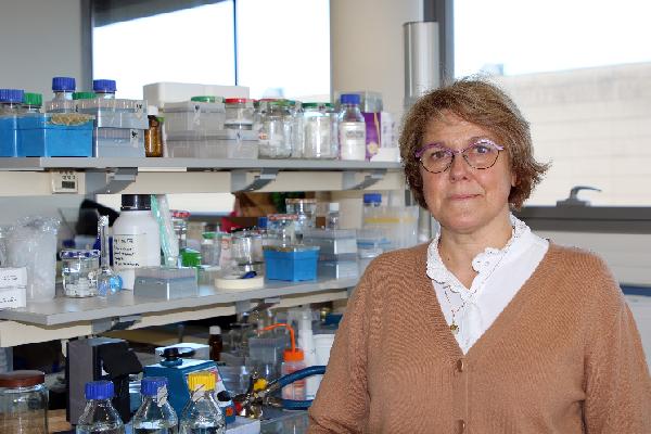 'Plus d'une centaine de profils génétiques différents de S. cerevisiae et O. œni lors des fermentations '