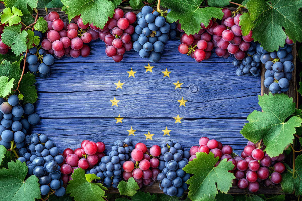 Le plan des 27 pour en finir avec la crise du vin : arrachages, moyenne olympique, soutien export…