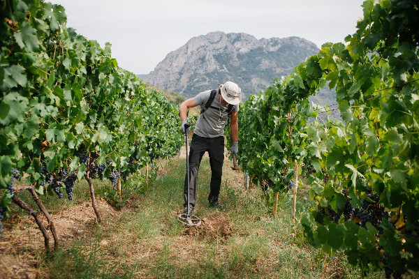 2 banques signent les courts termes aux trésoreries vigneronnes