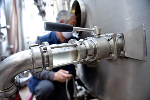 Des vins blancs plus fruités grâce aux lipides