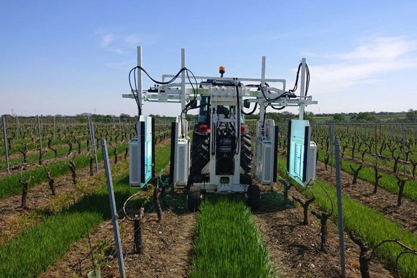 -30 % de mildiou et d’oïdium, +13 % de rendement avec UV Boosting