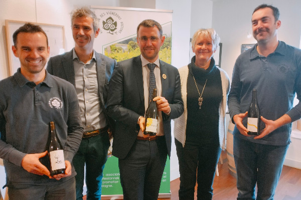 Les vignerons bretons veulent leur IGP bio, le Pays Nantais ne veut pas être écarté
