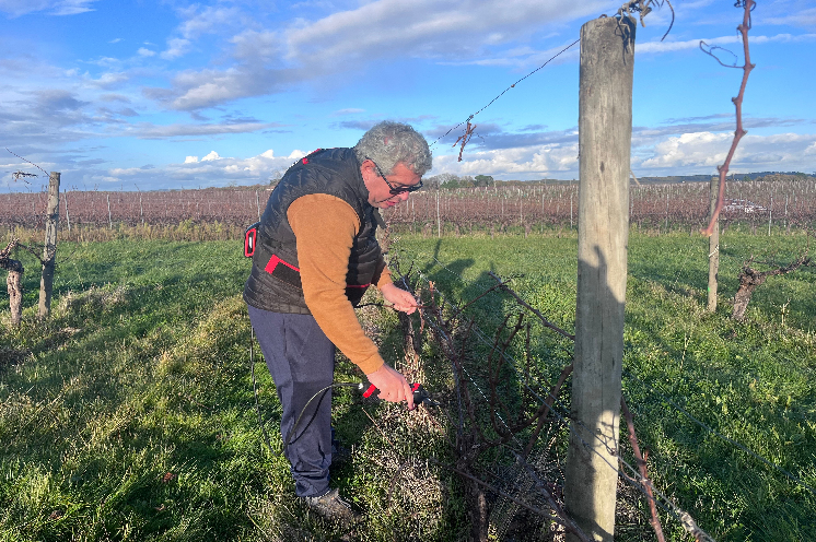 Ce vigneron bordelais a lancé sa propre méthode de taille pour gagner du temps tout en assurant le rendement