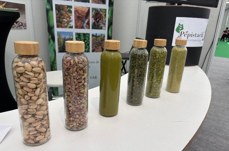 La pistache s'ouvre aux vignerons méridionaux en recherche de diversification