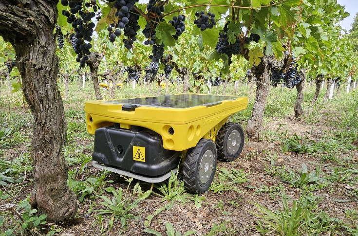 Robot vigneron sous protection pour 350 000 € et appel de fonds à 4 millions