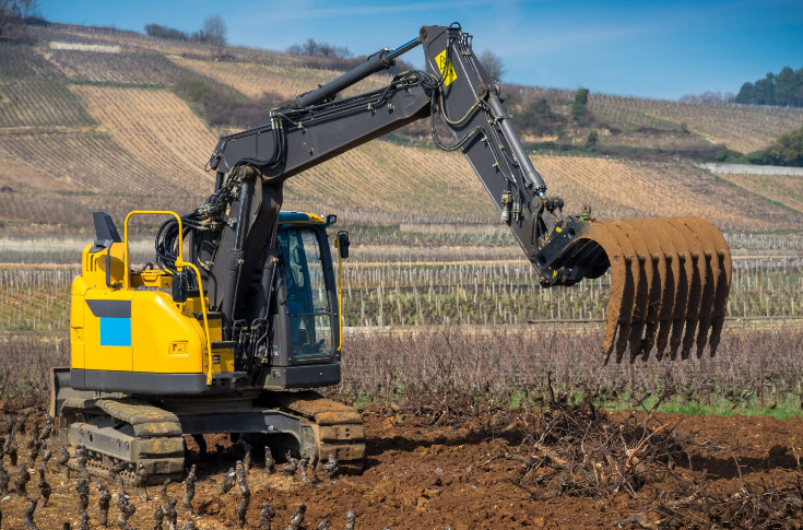 Déferlante de vignes arrachées à Bordeaux : 